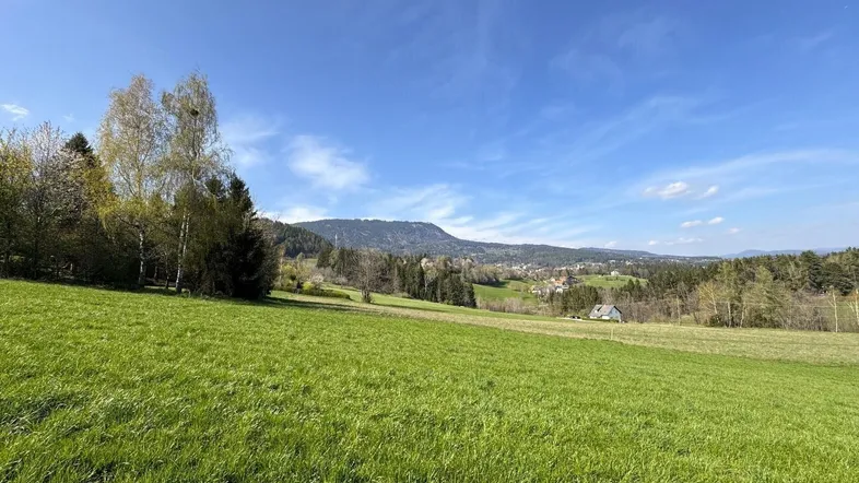 Weitläufige grüne Wiesenlandschaft mit Fernblick auf Berge und ein idyllisches Dorf.