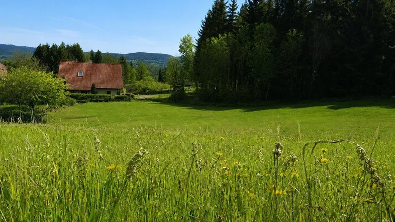 Idyllisches Landhaus mit rotem Dach inmitten grüner Wiesen und Wälder unter blauem Himmel.