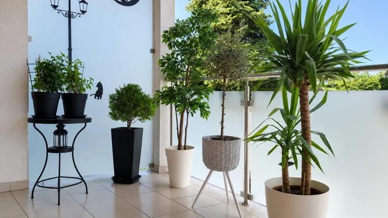 Heller Balkon mit Fliesenboden und verschiedenen Topfpflanzen, dekoriert mit Katzenmotiven.