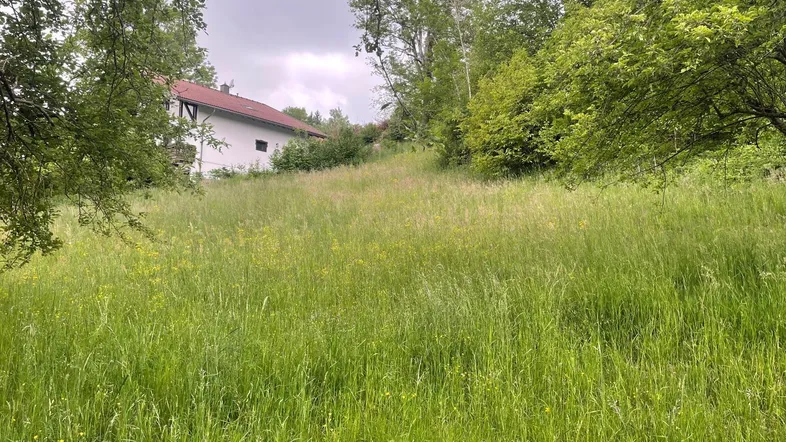 Weitläufige grüne Wiese mit hohem Gras und einem Haus im Hintergrund unter bewölktem Himmel.