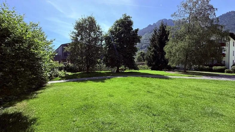 Große Rasenfläche mit Bäumen und Bergblick unter blauem Himmel an einem sonnigen Tag.