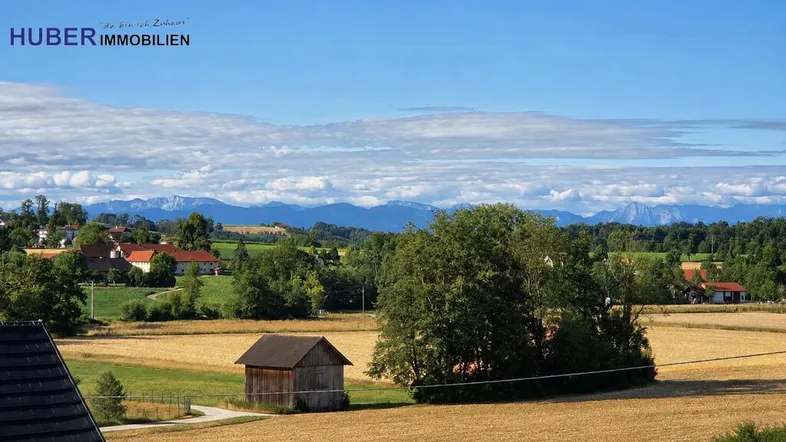 Weitläufiger Blick über goldene Felder und grüne Bäume mit majestätischen Bergen im Hintergrund unter blauem Himmel.