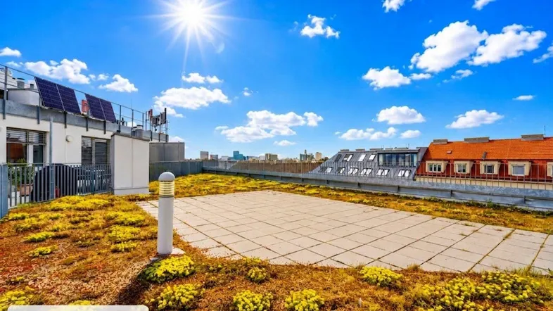 Sonnige Dachterrasse mit Grünflächen, gepflastertem Bereich und Photovoltaikanlage mit Stadtblick.