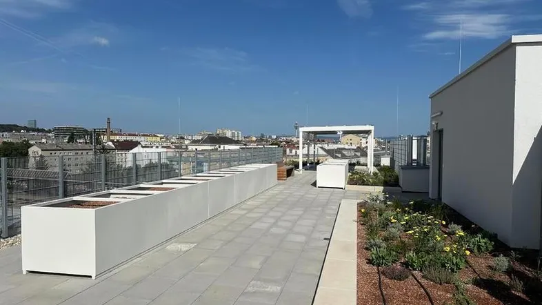 Große Dachterrasse mit modernen Pflanzgefäßen, gepflastertem Bereich und weitem Stadtblick unter blauem Himmel.