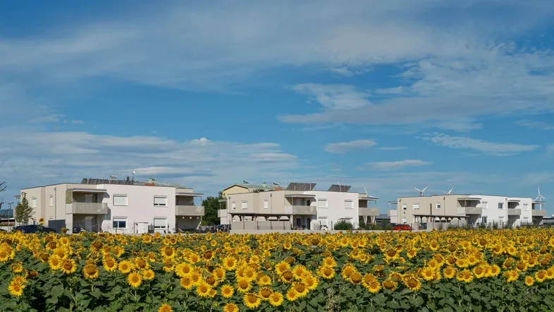 Mehrere moderne Wohngebäude mit Balkonen und Solaranlagen, umgeben von einem Sonnenblumenfeld unter blauem Himmel.