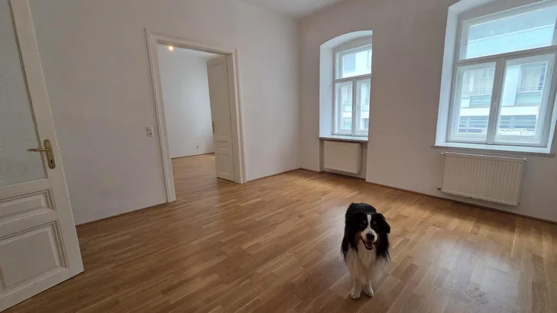 Helles, leeres Zimmer mit Parkettboden, weißen Wänden und zwei Fenstern, das vielseitig nutzbar ist.