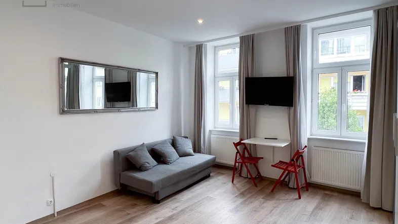 Helles Wohnzimmer mit modernem Schlafsofa, Laminatboden und großen Fenstern, die viel Tageslicht hereinlassen.