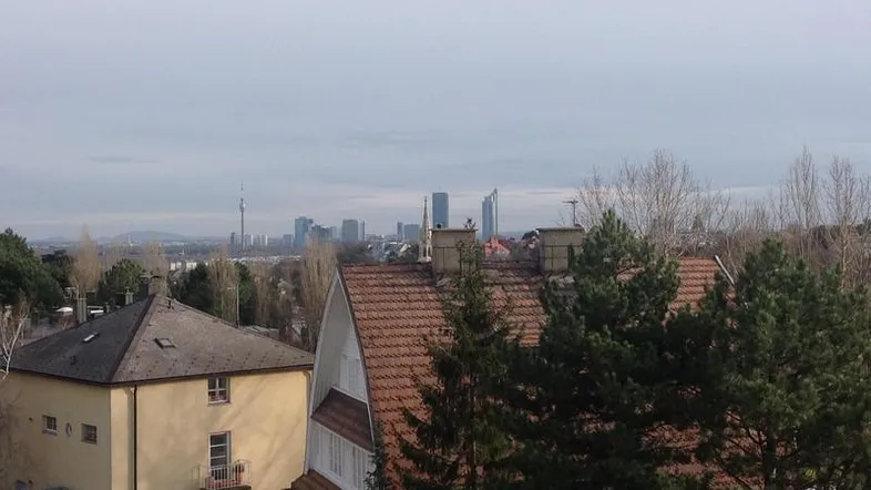 Blick über Dächer auf die Stadt mit Hochhäusern und bewölktem Himmel.