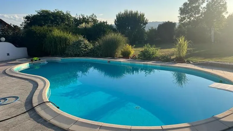 Großzügiger Außenpool mit blauer Wasseroberfläche, umgeben von einer gepflegten Gartenlandschaft unter blauem Himmel.