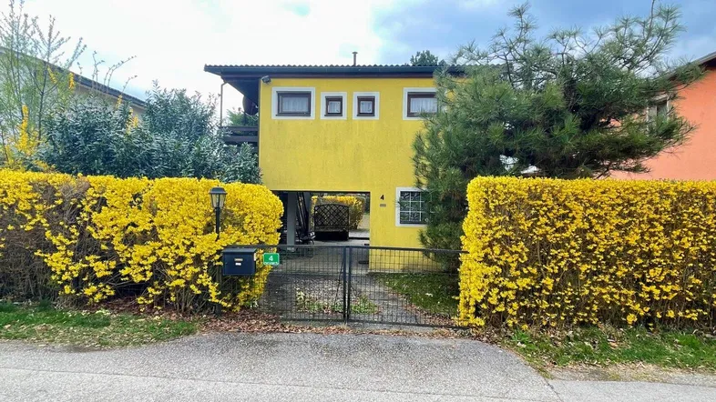 Gelbes Haus mit blühenden Forsythienhecken und einem Eingangstor zur Einfahrt.