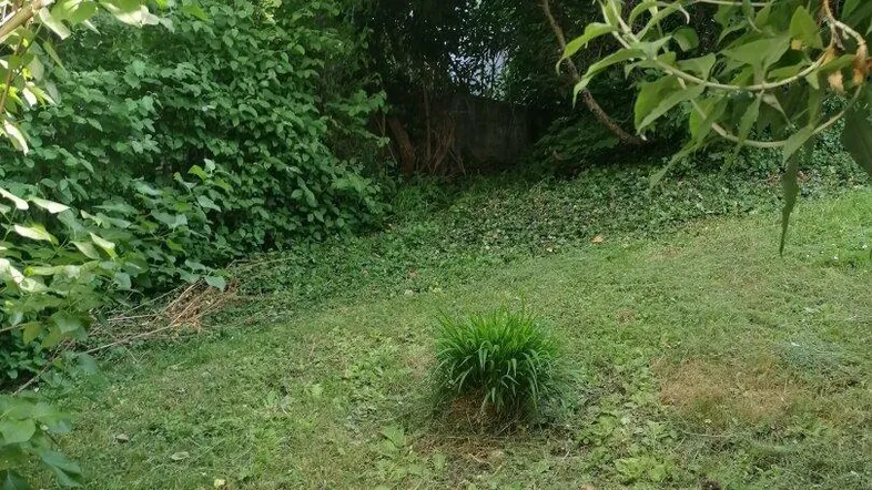 Naturbelassener Gartenbereich mit üppigem Grün und leichter Hanglage, umgeben von Bäumen.