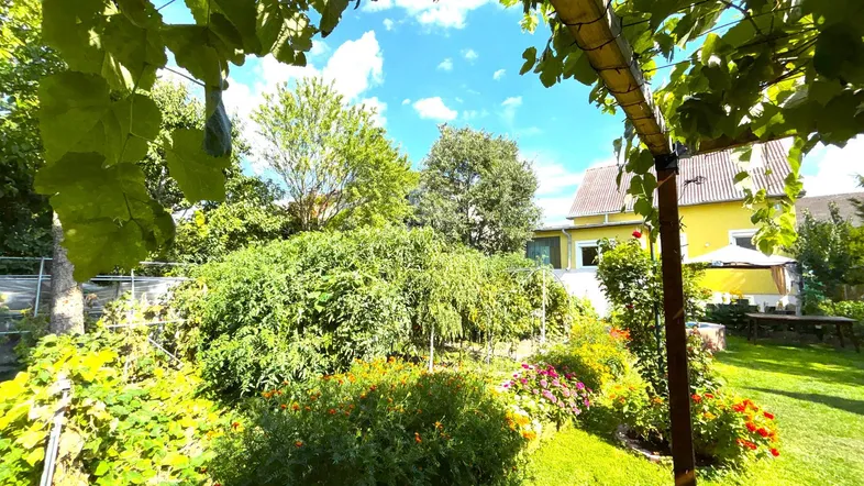 Sonniges Gartengrundstück mit üppiger Vegetation, Blumenbeeten und einem Haus im Hintergrund.