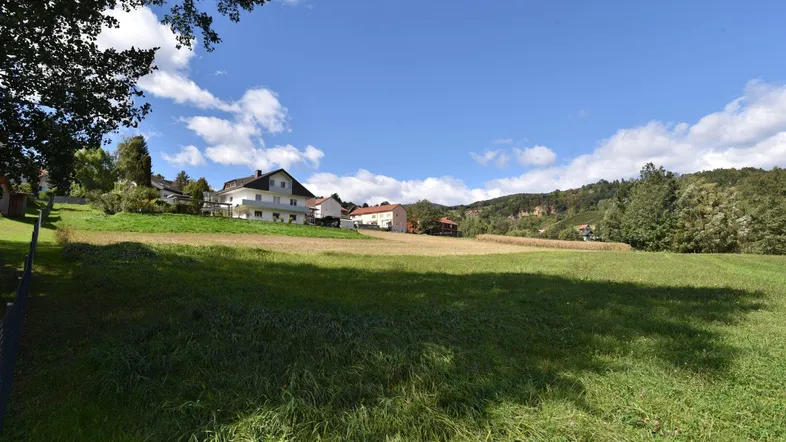 Weitläufiges grünes Feld mit Wohnhäusern im Hintergrund unter blauem Himmel mit Wolken.