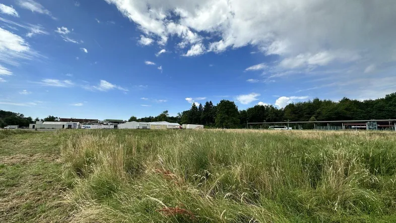 Weite Grasfläche unter blauem Himmel mit vereinzelten Gebäuden und Bäumen im Hintergrund.