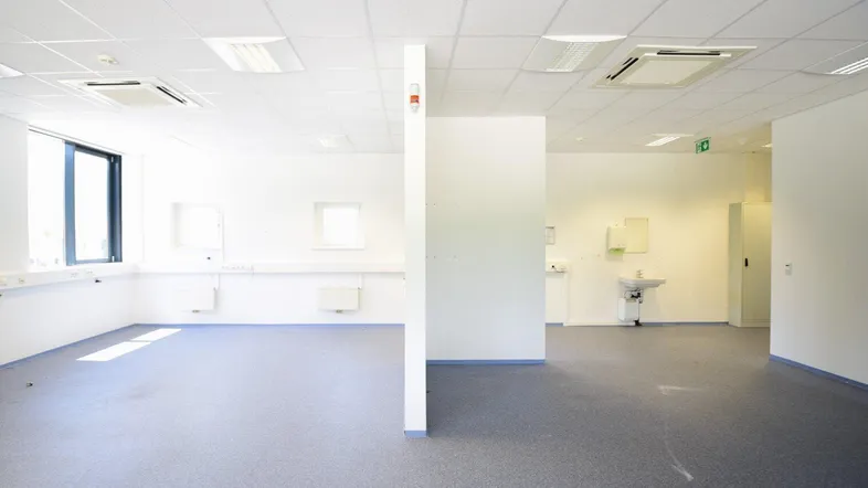 Helles, leeres Büro mit Vinylboden, abgehängter Decke und großen Fenstern für viel Tageslicht.
