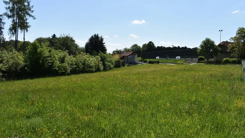 Weitläufige grüne Wiese mit Bäumen und einem Gebäude im Hintergrund unter blauem Himmel.