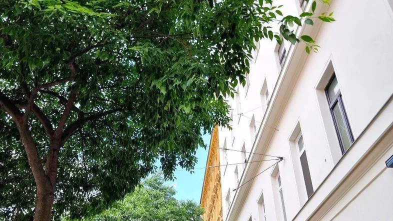 Weißes Gebäude mit vielen Fenstern und grünen Bäumen entlang der Straße, typische Stadtarchitektur.