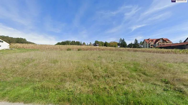 Weitläufiges Grundstück mit Grasfläche und angrenzendem Maisfeld unter blauem Himmel.