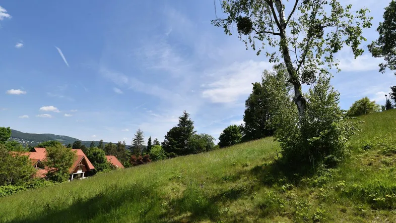 Hügeliges Grundstück mit grüner Wiese, Bäumen und Blick auf die umliegende Landschaft und Häuser.
