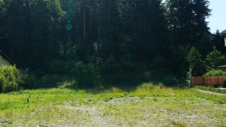 Grünfläche mit Baumbestand im Hintergrund, umgeben von Natur und weiteren Grundstücken.
