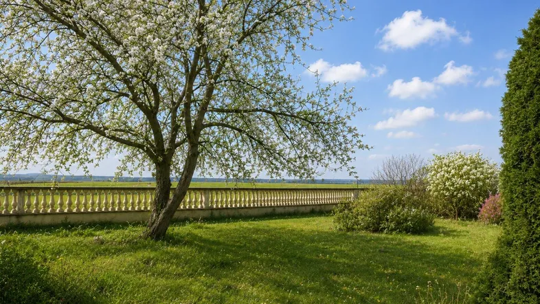 Blühender Baum in einem gepflegten Garten mit Steinbalustrade und weitem Blick ins Grüne.