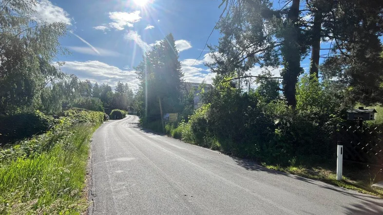 Sonnige Landstraße umgeben von Bäumen und grüner Vegetation unter strahlend blauem Himmel.