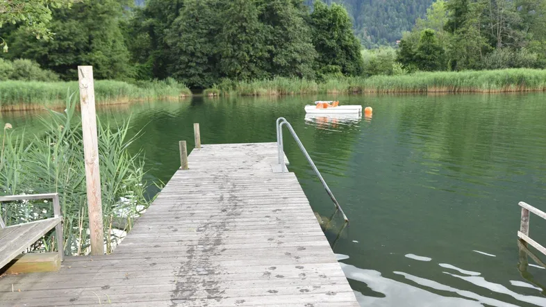 Hölzerner Steg am Seeufer mit Schilf und bewaldeten Bergen im Hintergrund, ideal für Wassersport.