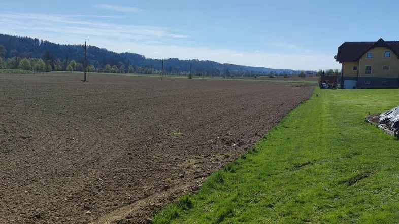 Weites Feld mit frisch gepflügter Erde und einem Haus am Horizont unter blauem Himmel.