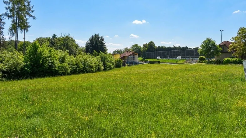 Weitläufige grüne Wiese mit Bäumen und einem Gebäude im Hintergrund unter strahlend blauem Himmel.