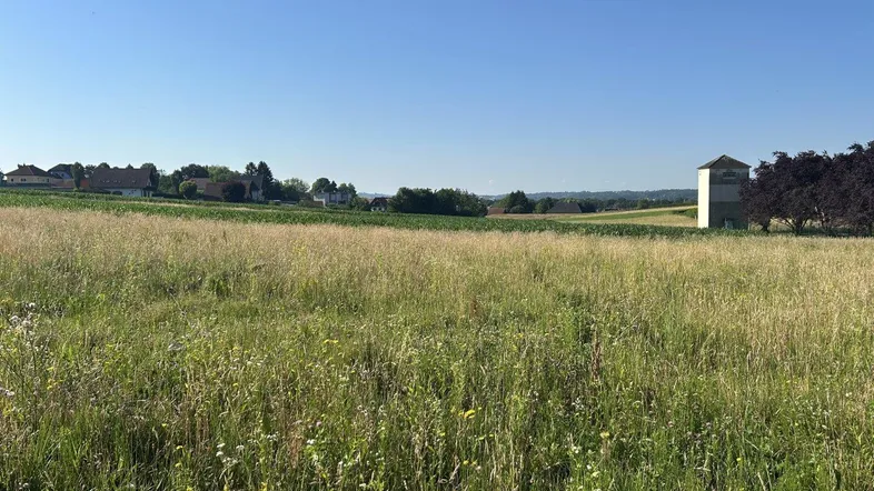 Weitläufiges Feld mit grüner Wiese und Häusern in der Ferne unter blauem Himmel.