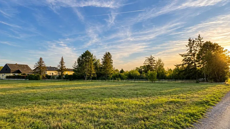 Weitläufiges grünes Feld mit Bäumen und Häusern im Hintergrund unter einem weiten Himmel bei Sonnenuntergang.
