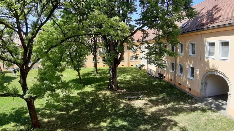 Grüner Innenhof mit großen Bäumen und Rasenflächen, umgeben von Wohngebäuden.