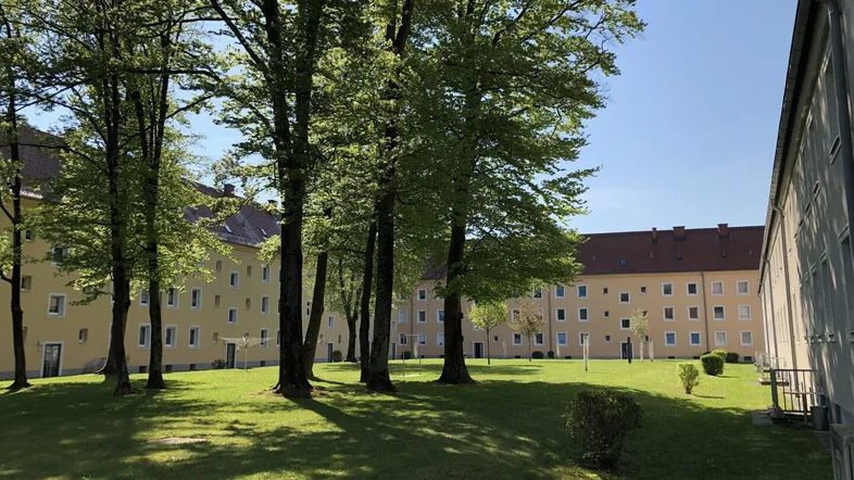 Großer grüner Innenhof mit hohen Bäumen und gepflegtem Rasen zwischen den Wohngebäuden.