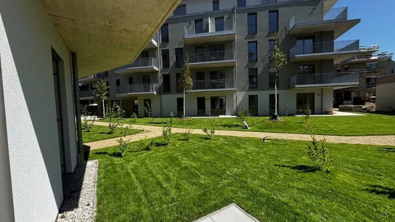 Garten mit Terrasse KI