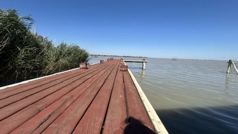 Langer Holzsteg führt über das ruhige Wasser eines Sees unter klarem blauem Himmel.