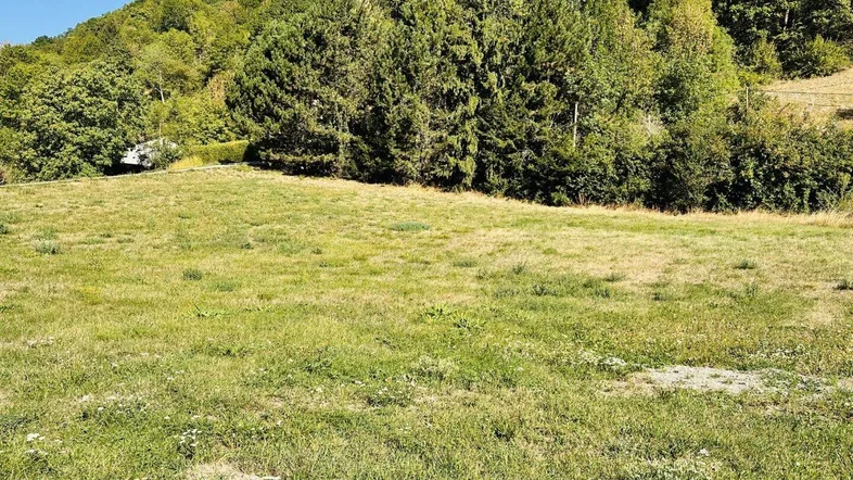 Weitläufige Grünfläche mit bewaldetem Hügel im Hintergrund unter blauem Himmel.