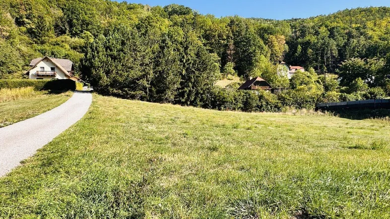 Grüne Wiese mit Zufahrtsweg und Häusern im Hintergrund, umgeben von Wald.