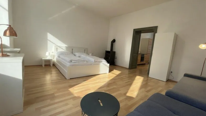 Helles Wohnzimmer mit Holzboden, gemütlichem Kaminofen und Schlafbereich.