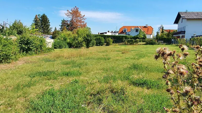 Weitläufiges Grundstück mit grüner Wiese und Blick auf umliegende Häuser unter blauem Himmel.