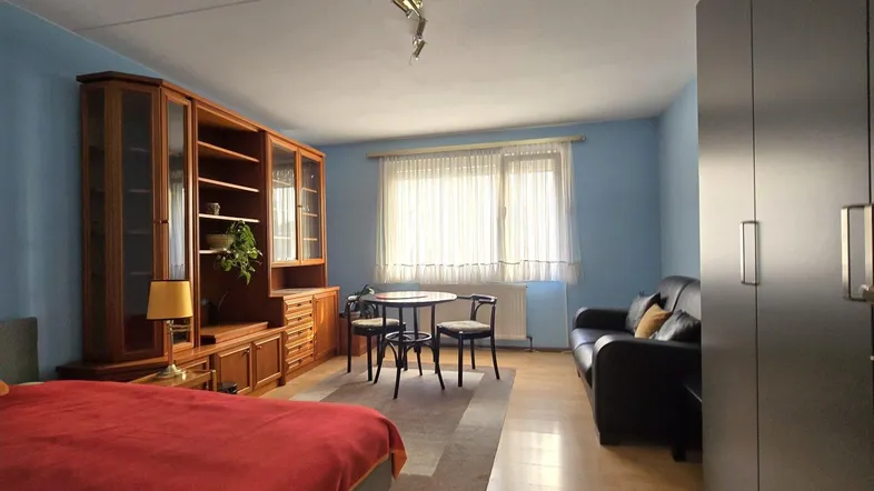 Geräumiger Wohnbereich mit Holzboden, blauen Wänden, Bett, Sofa und Esstisch.