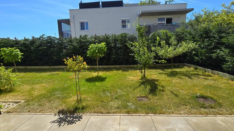 Gepflegter Gartenbereich mit Rasenfläche und jungen Bäumen vor der modernen Gebäudefassade unter blauem Himmel.