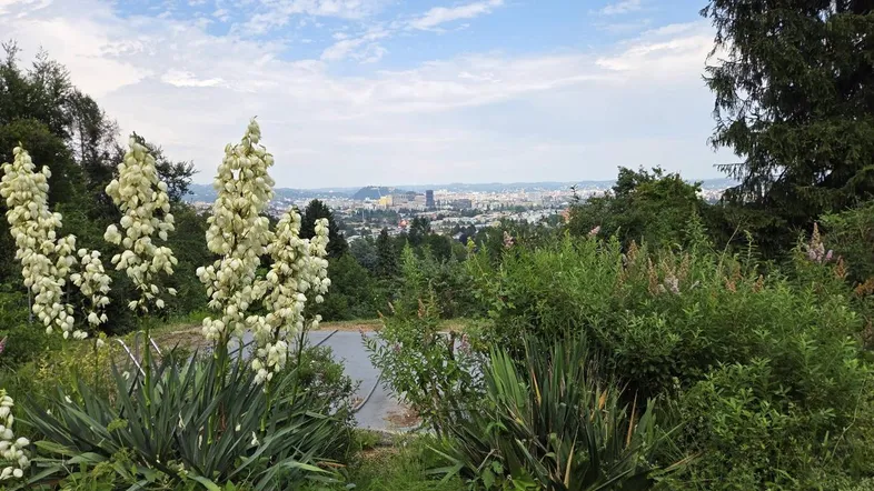 Panoramablick auf die Stadt und die umliegende grüne Landschaft unter einem bewölkten Himmel.