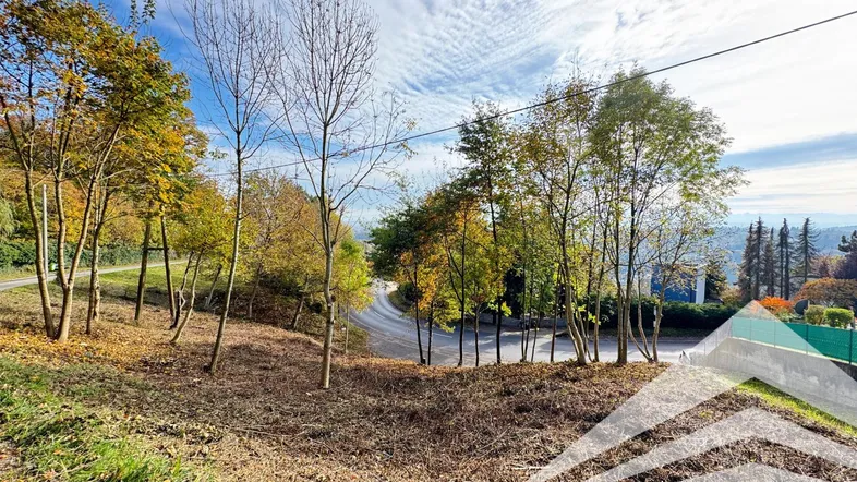 Ungenutztes Hanggrundstück mit Bäumen und Blick auf eine Straße unter blauem Himmel.