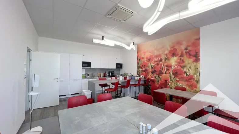 Moderne Büroküche mit weißen Schränken, roten Stühlen und einer auffälligen Blumenwandtapete, ideal für Pausen.