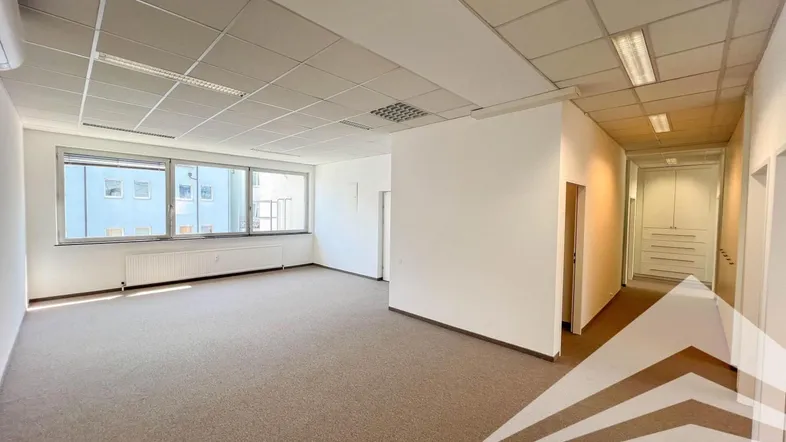 Geräumiges, leeres Büro mit Teppichboden, Rasterdecke und großen Fenstern, ideal für verschiedene Arbeitsbereiche.