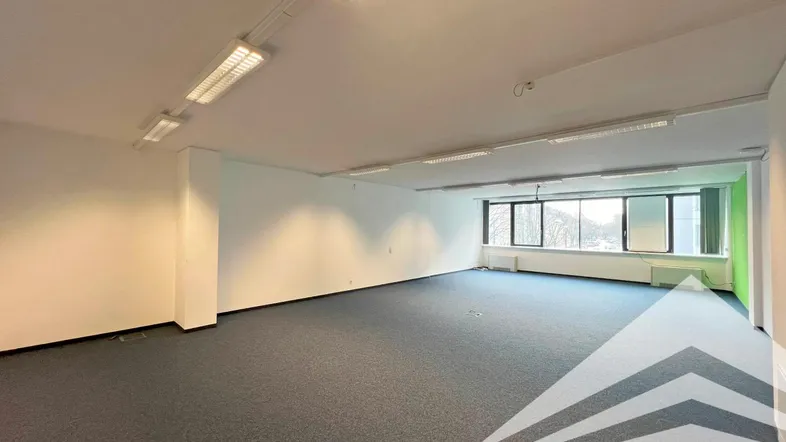 Geräumiges, leeres Büro mit Teppichboden, weißen Wänden und großen Fenstern, ideal für flexible Arbeitsplatzgestaltung.