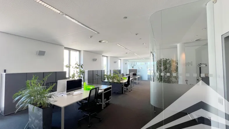 Großraumbüro mit modernen Arbeitsplätzen, Teppichboden und viel Tageslicht durch große Fenster.