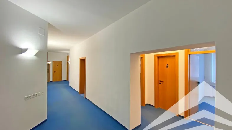 Langer Flur mit blauem Teppichboden und mehreren Holztüren, gut beleuchtet durch Wandleuchten.
