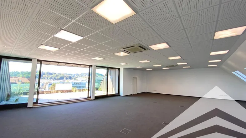 Großer, heller Büroraum mit Teppichboden, Akustikdecke und bodentiefen Fenstern mit Ausblick.