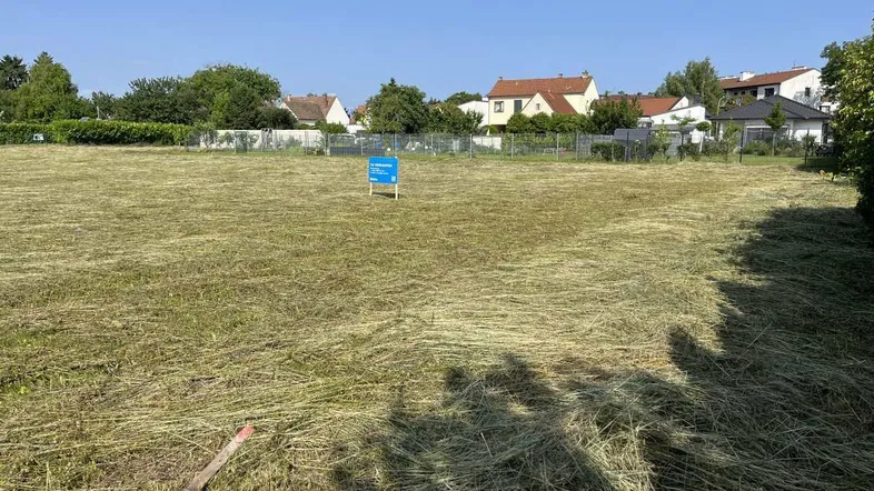 Großes, gemähtes Grundstück mit Blick auf umliegende Wohnhäuser unter blauem Himmel.
